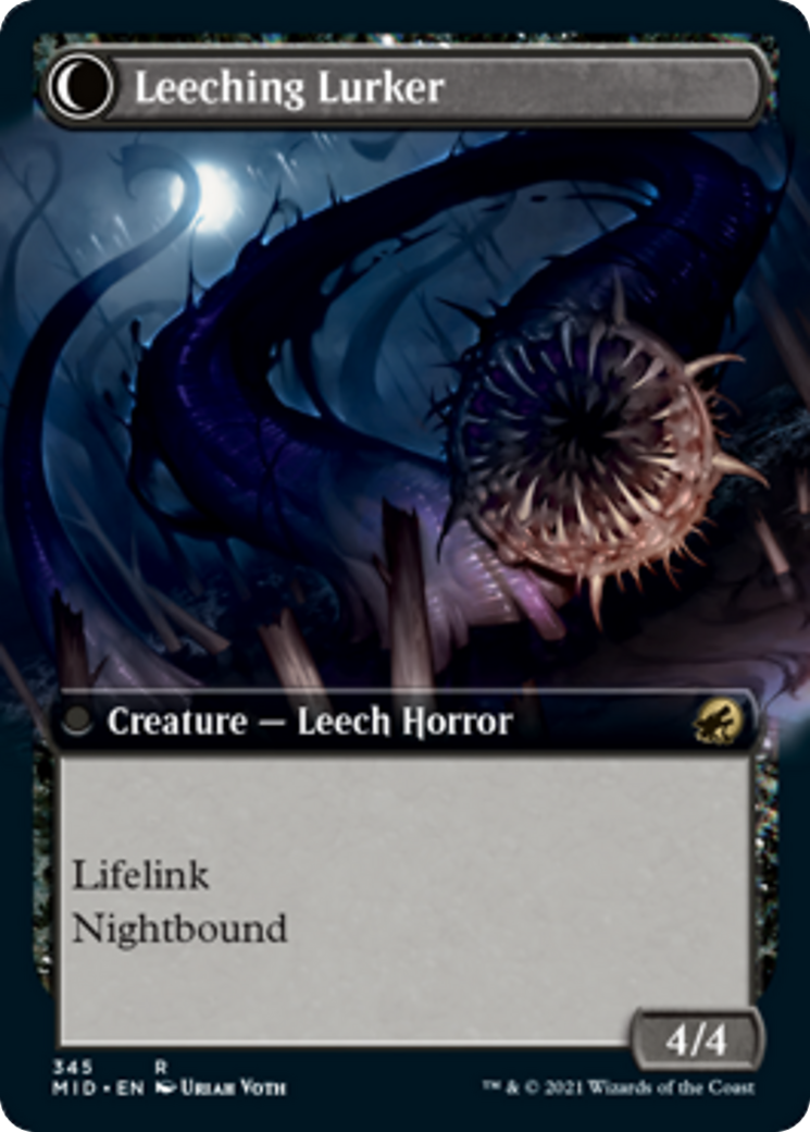 Curse of Leeches // Leeching Lurker Card Image