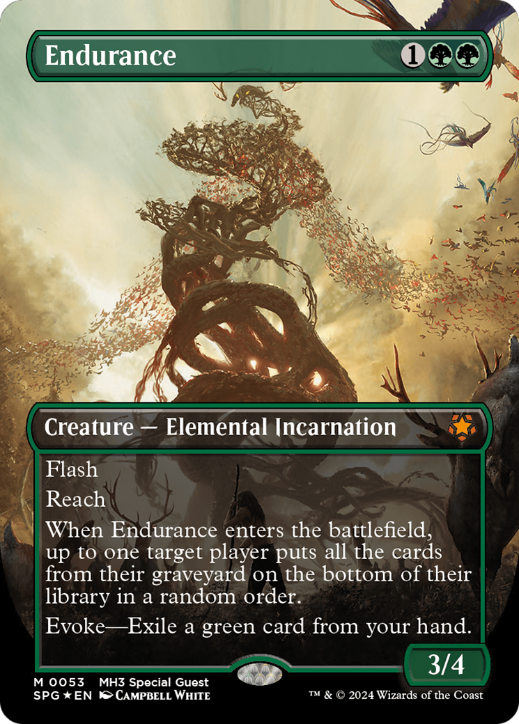 Endurance Card Image