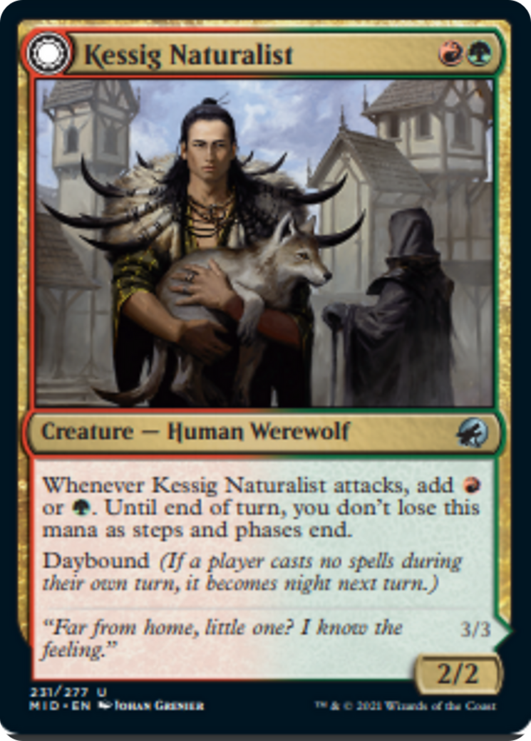 Kessig Naturalist // Lord of the Ulvenwald Card Image