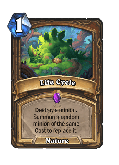 Life Cycle Card Image