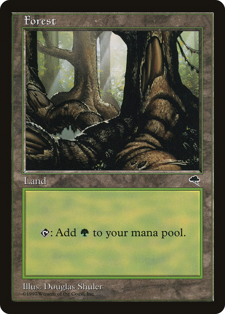 Forest Card Image