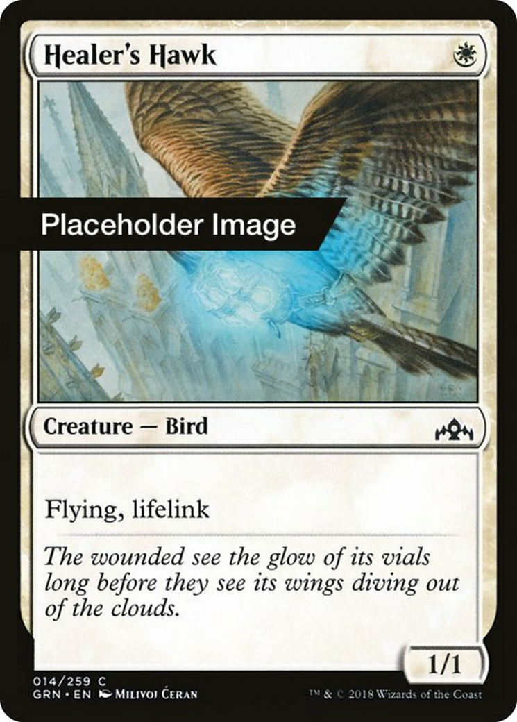 Healer's Hawk Card Image