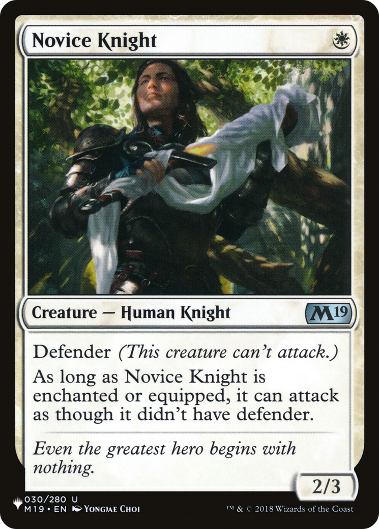 Novice Knight Card Image