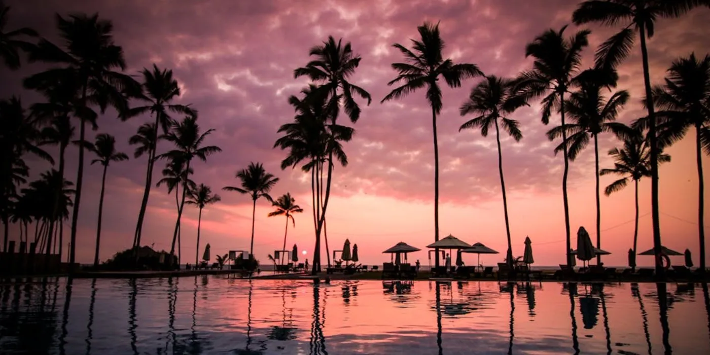 Why Stories Set on Vacation Tap Into Our Deepest Fantasies of Escape