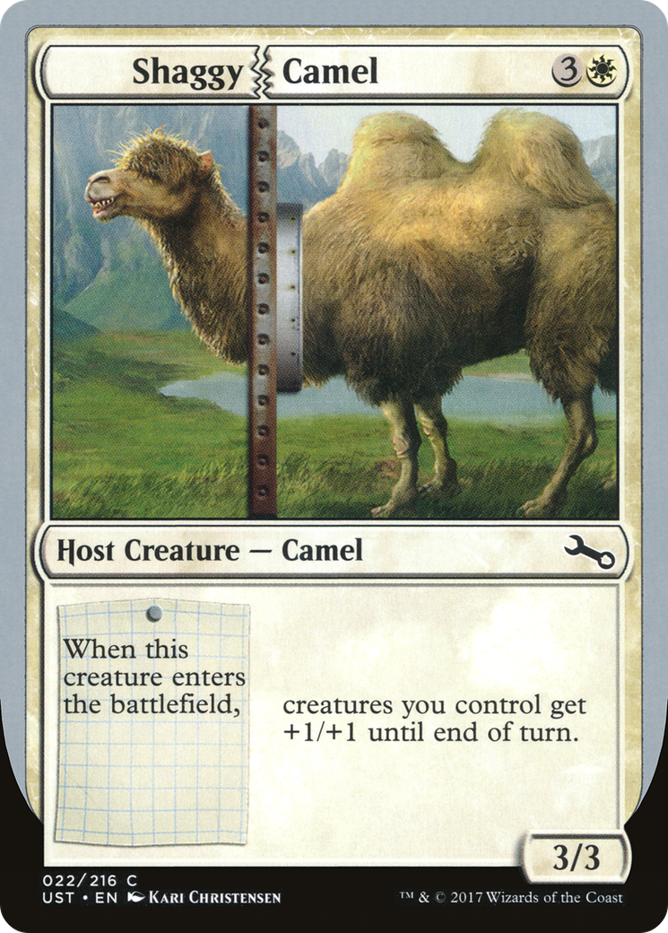 Shaggy Camel Card Image