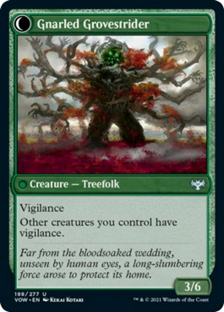 Dormant Grove // Gnarled Grovestrider Card Image