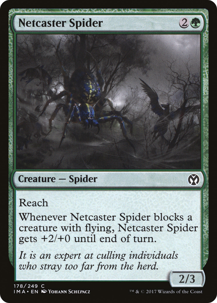 Netcaster Spider Card Image