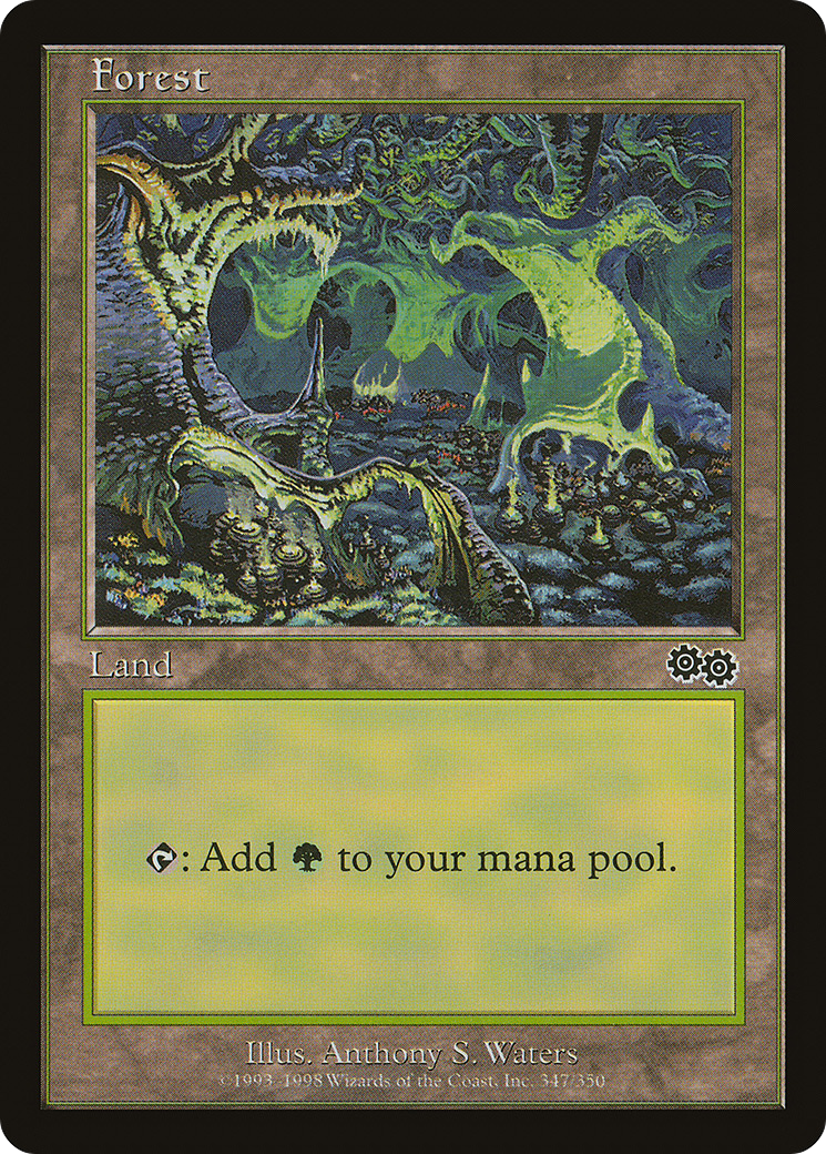 Forest Card Image