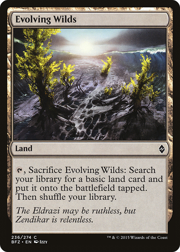 Evolving Wilds Card Image