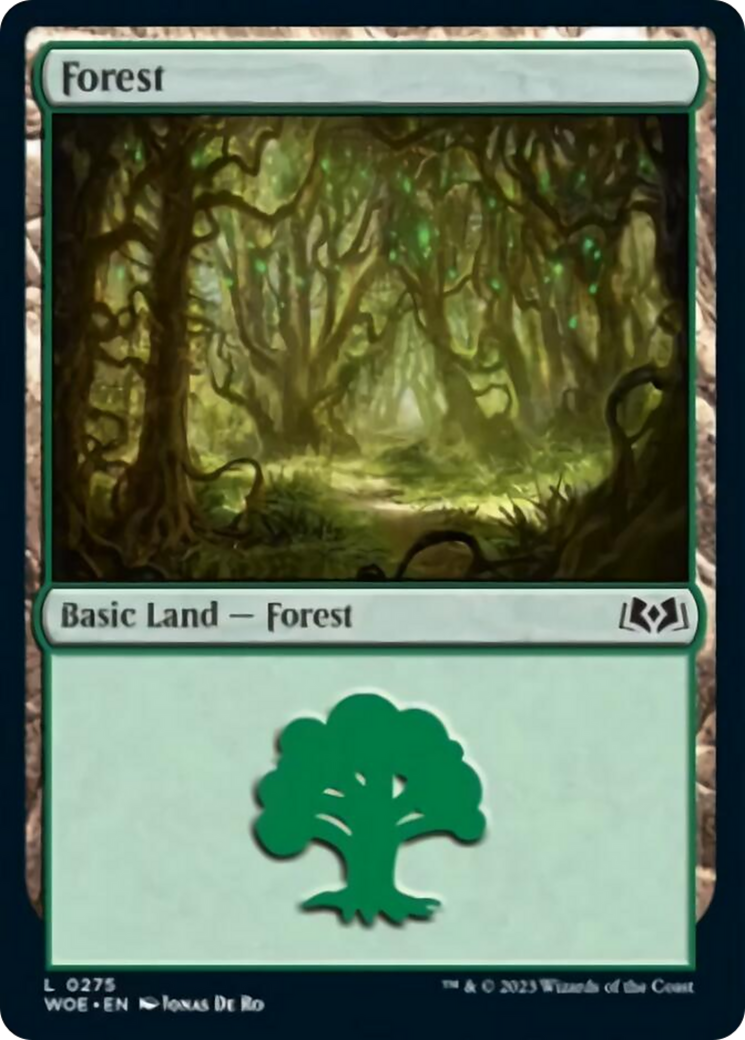 Forest Card Image