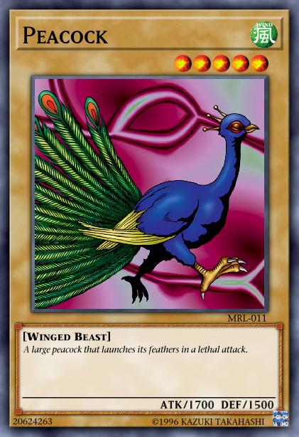 Peacock Card Image