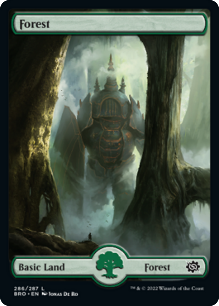 Forest Card Image