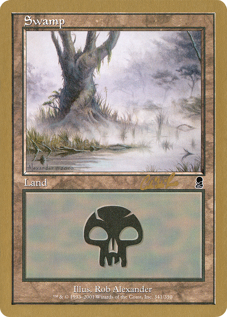 Swamp Card Image