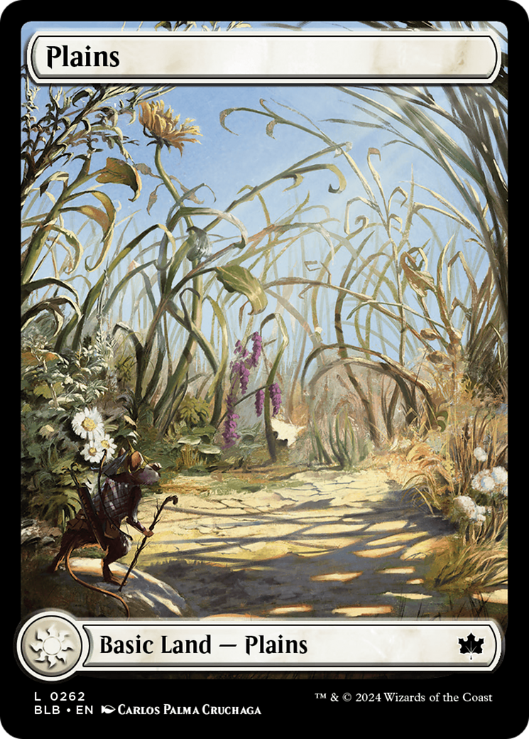 Plains Card Image