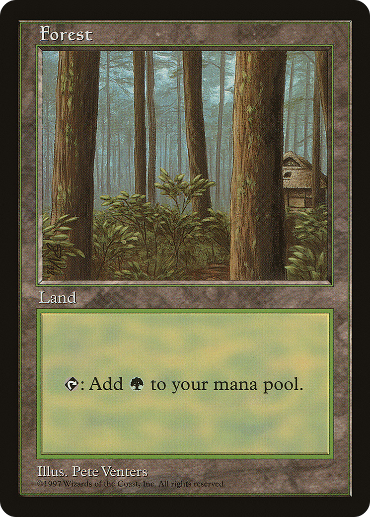 Forest Card Image