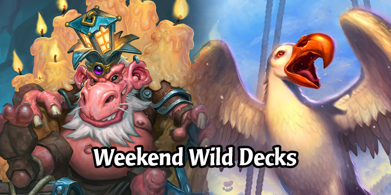 Weekend Wild Hearthstone Decks - Odd Shaman, Albatross Hunter, Togwaggle Paladin, and More!