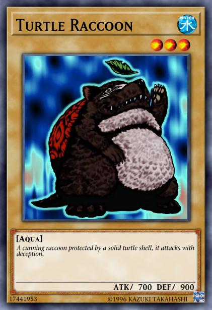 Turtle Raccoon Card Image