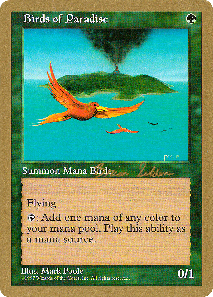 Birds of Paradise Card Image