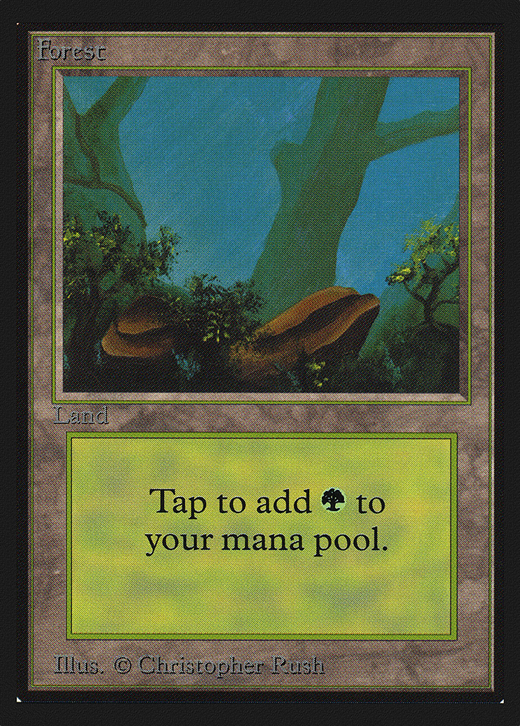 Forest Card Image