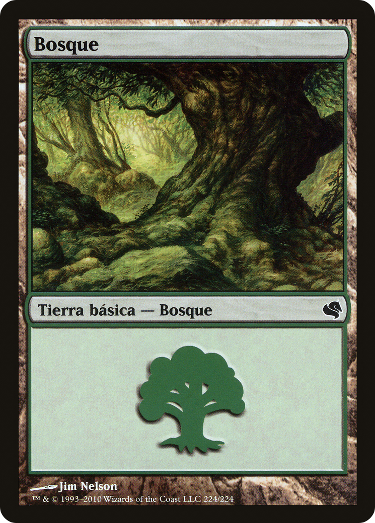 Forest Card Image