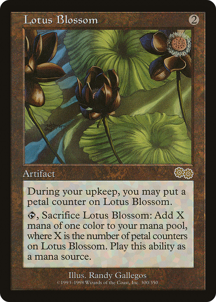 Lotus Blossom Card Image