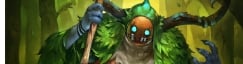 Forest Guide