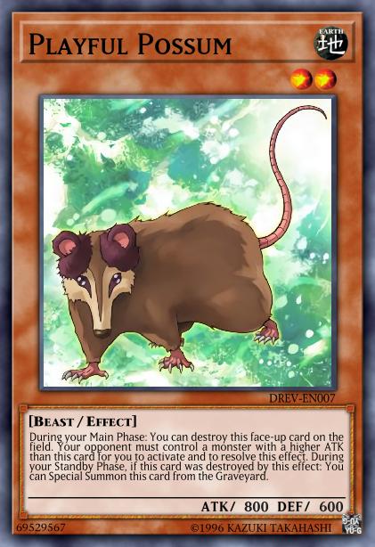 Playful Possum Card Image