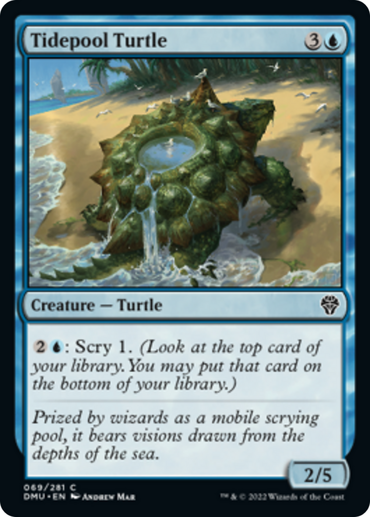 Tidepool Turtle Card Image