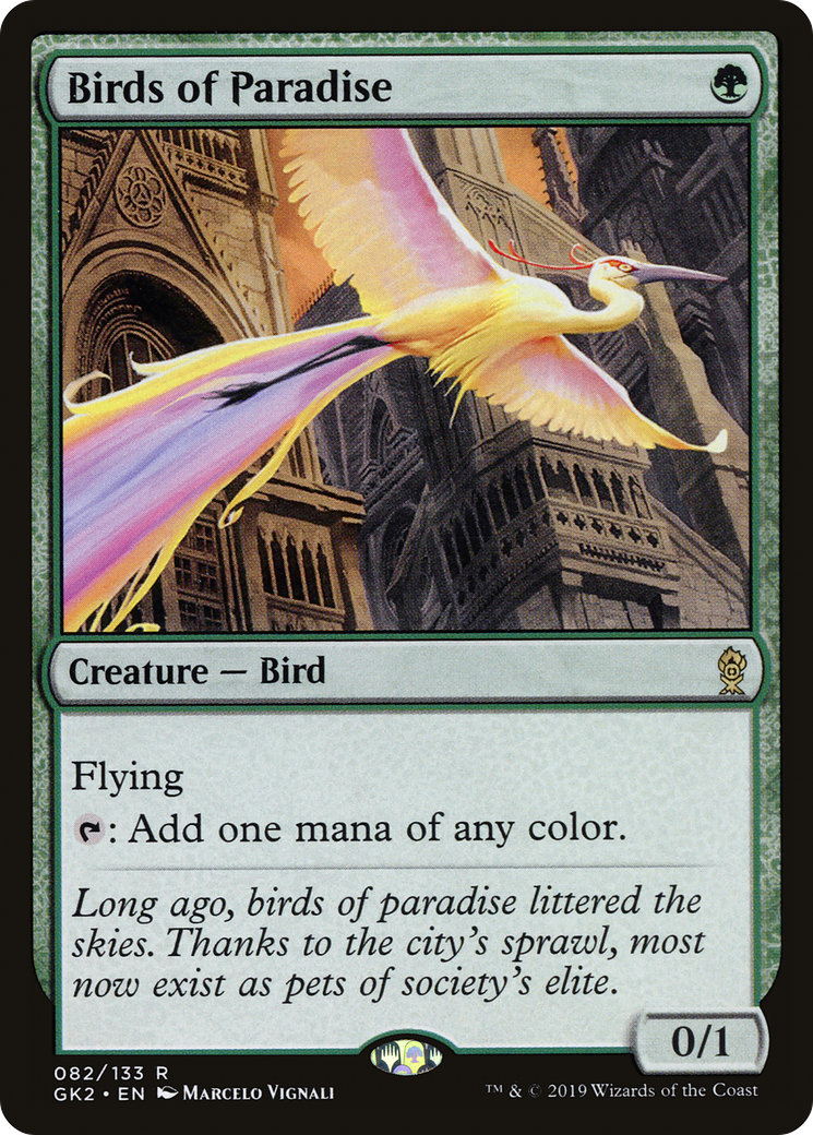 Birds of Paradise Card Image