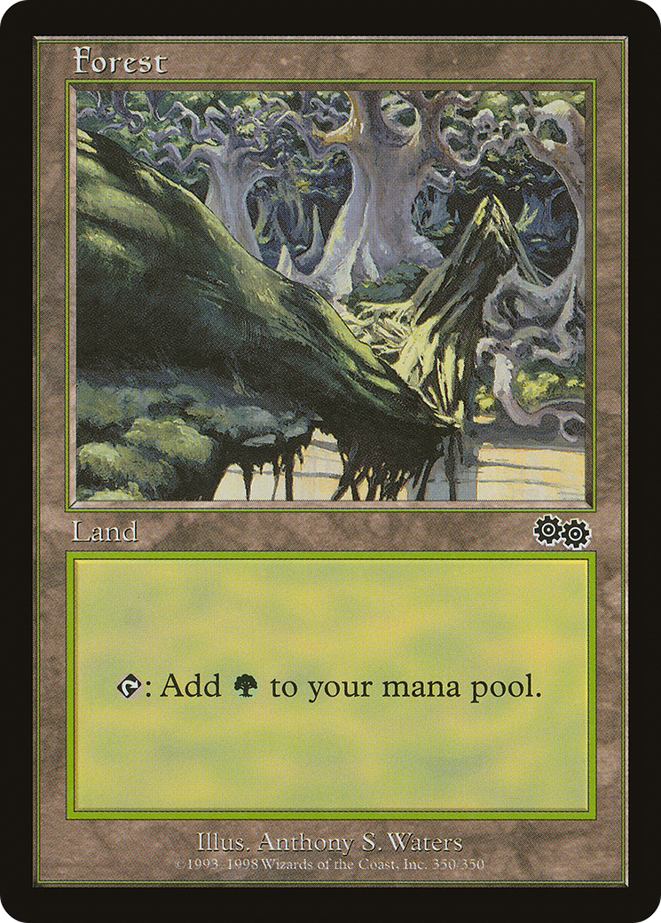 Forest Card Image