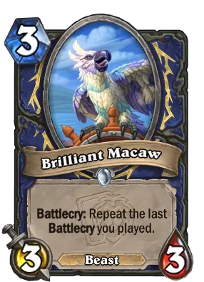 Brilliant Macaw Card Image