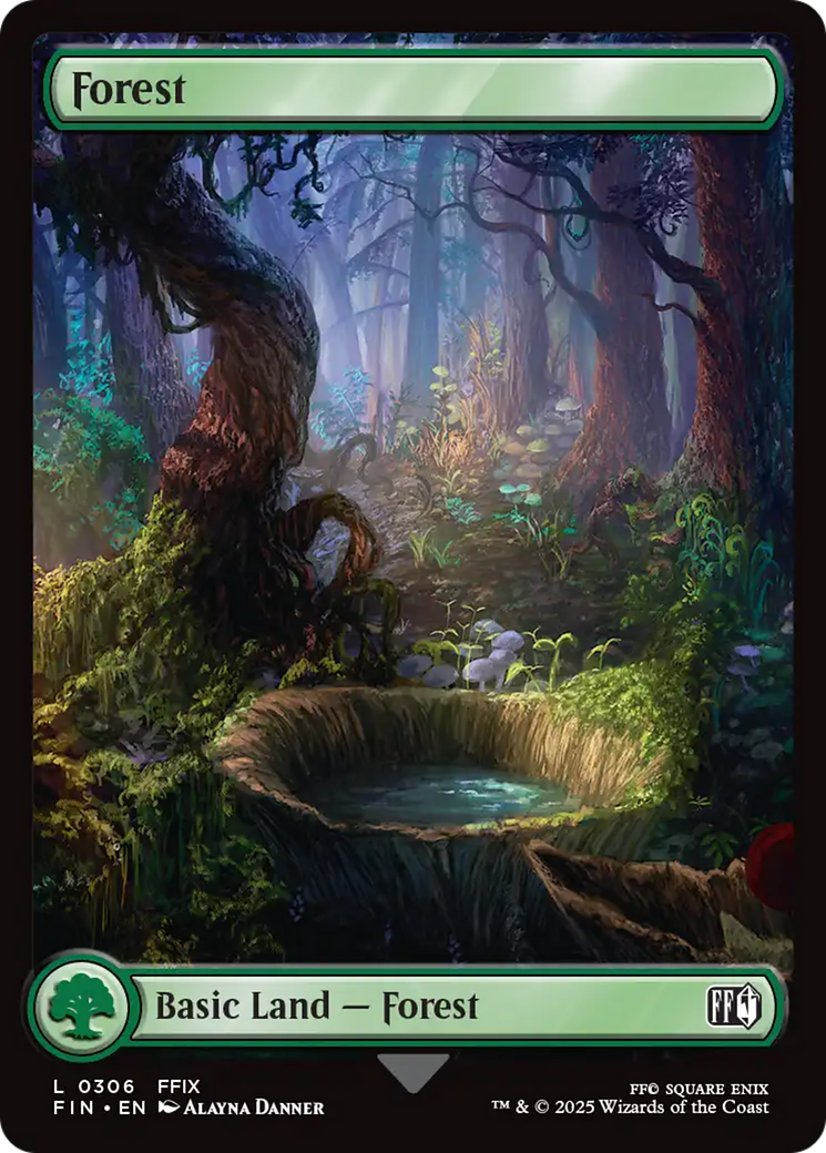Forest Card Image