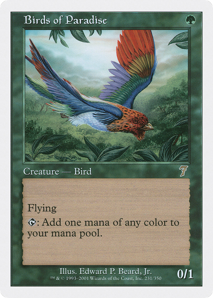 Birds of Paradise Card Image