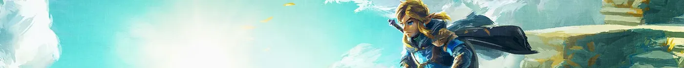 Legend of Zelda realm banner