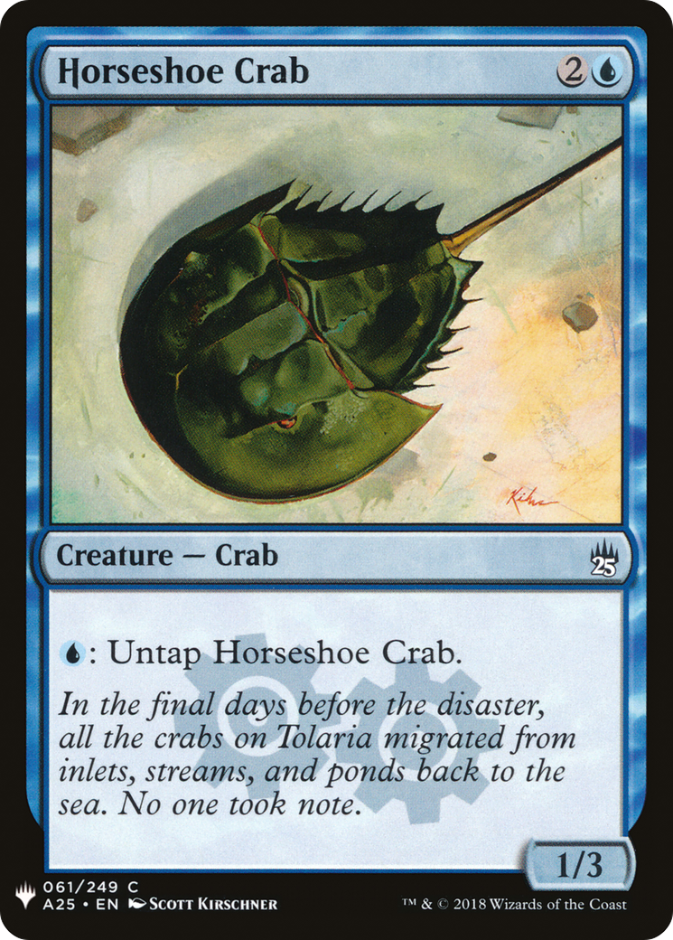 Horseshoe Crab Card Image