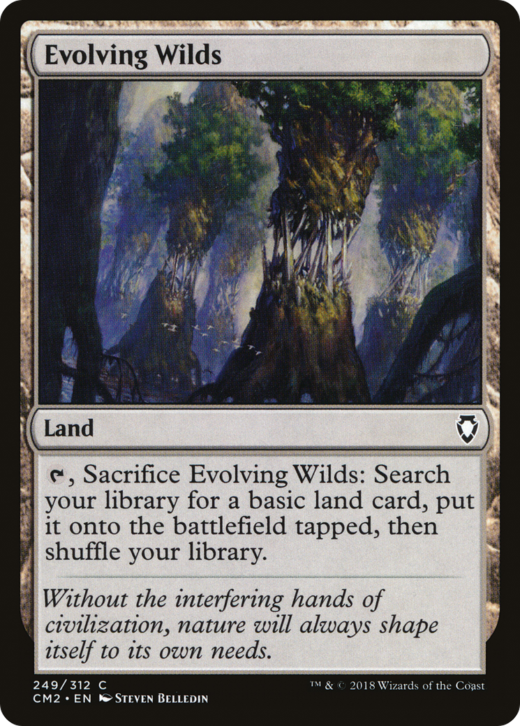 Evolving Wilds Card Image