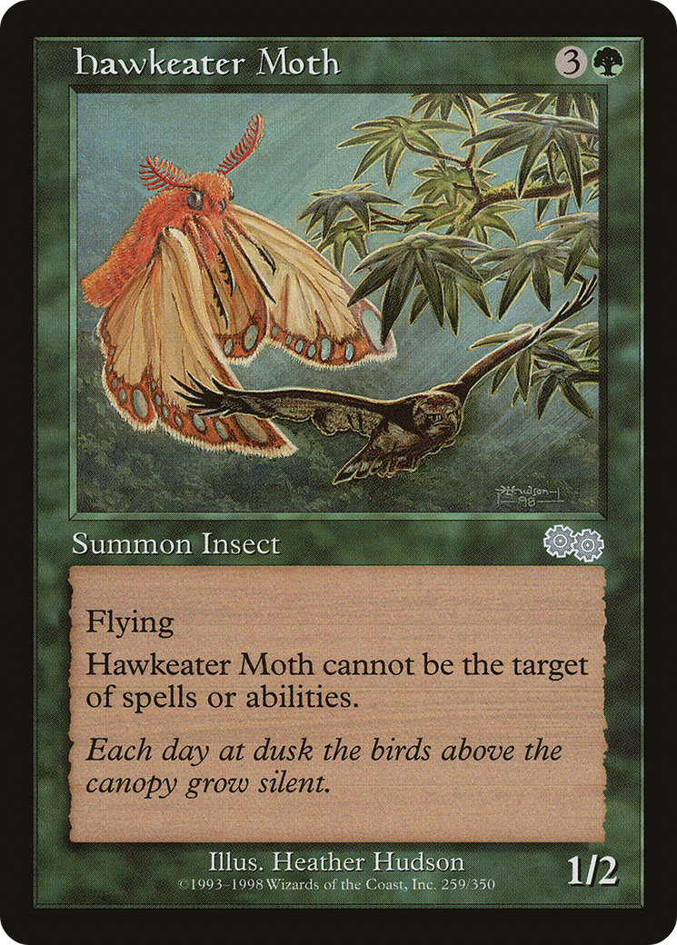 Hawkeater Moth Card Image