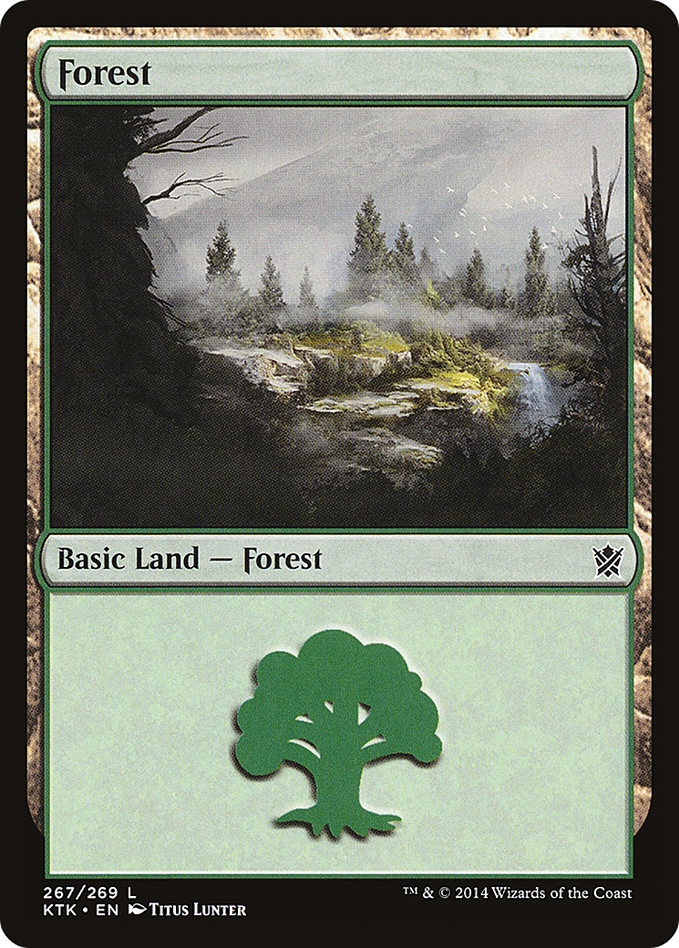 Forest Card Image