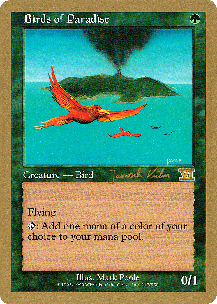 Birds of Paradise Card Image