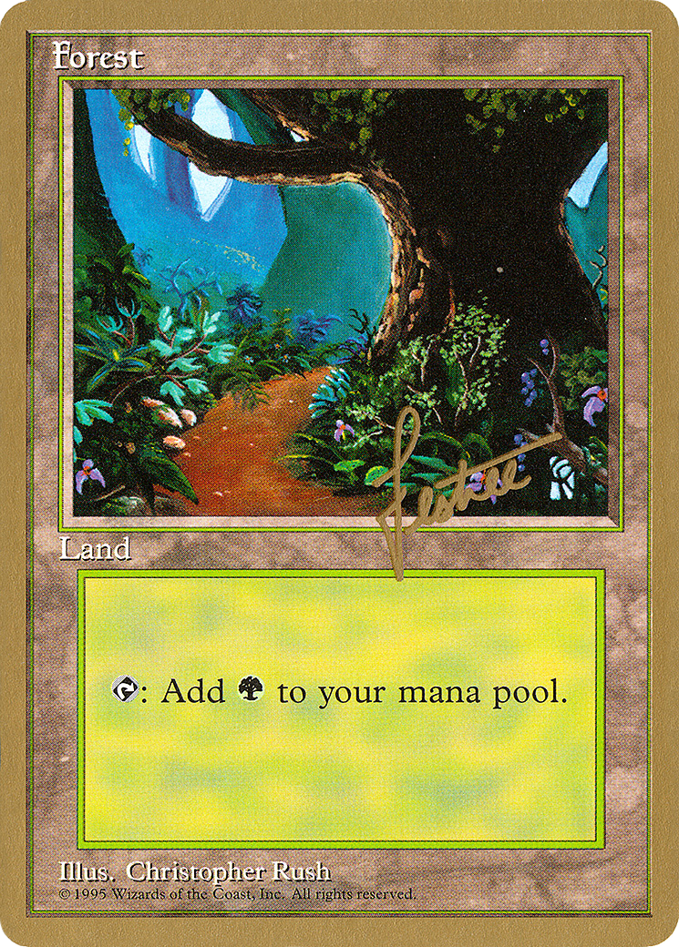 Forest Card Image
