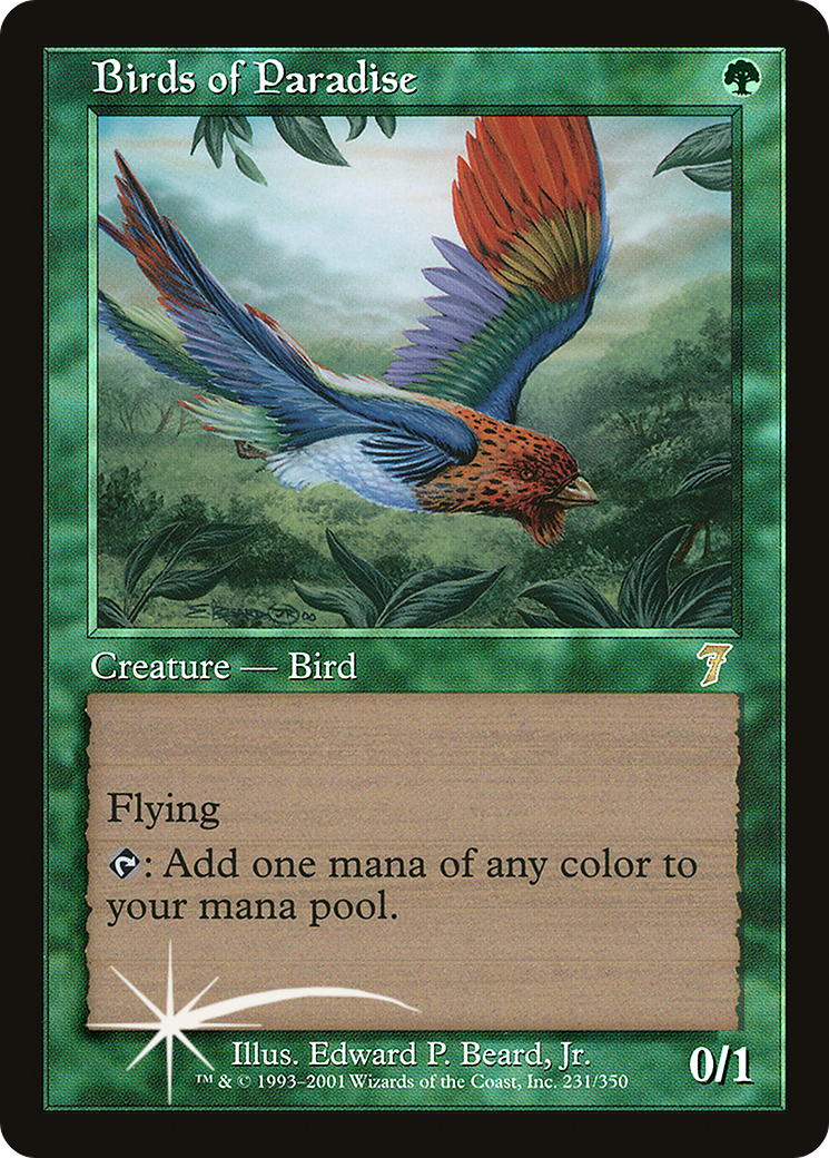 Birds of Paradise Card Image