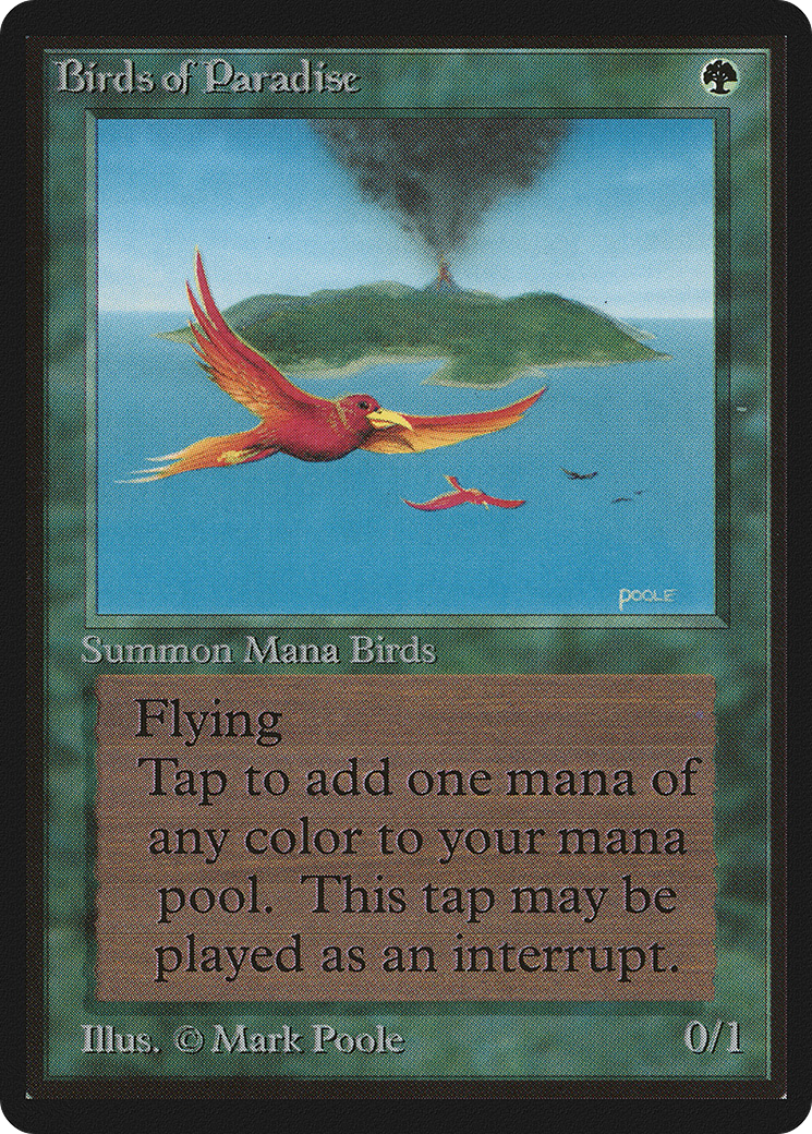 Birds of Paradise Card Image