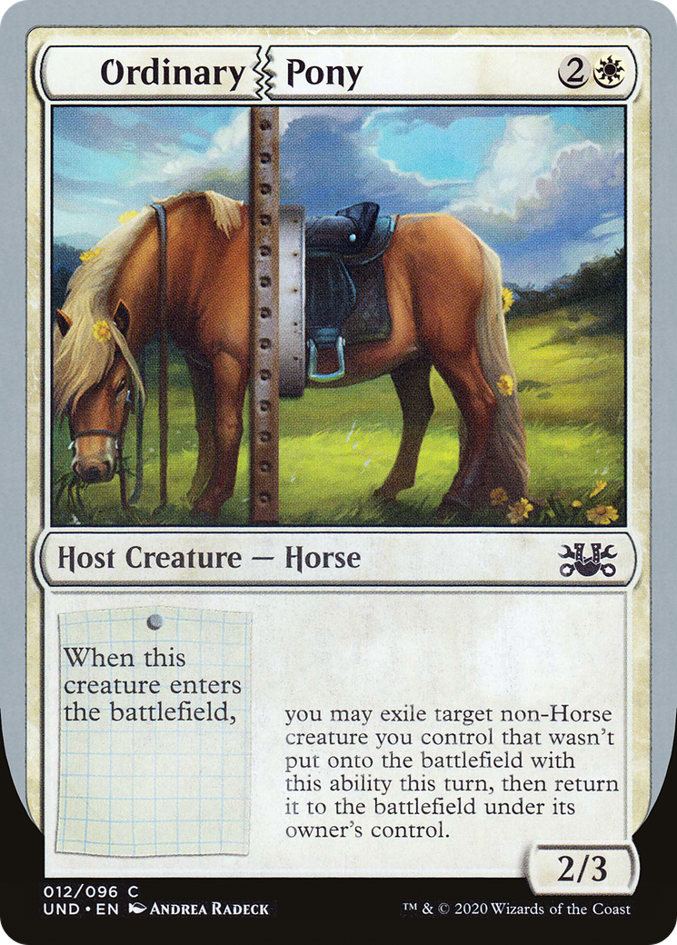 Ordinary Pony Card Image