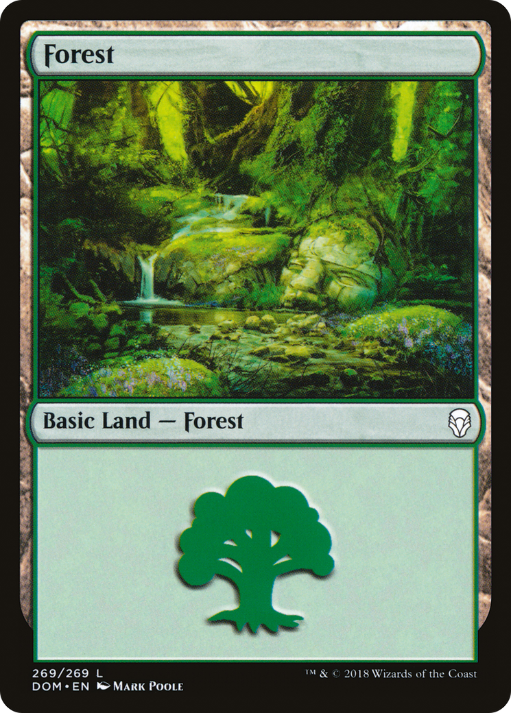 Forest Card Image