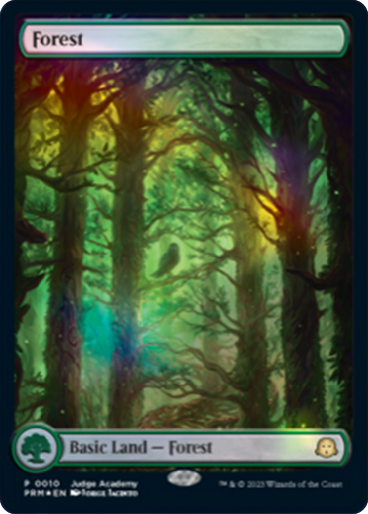 Forest Card Image