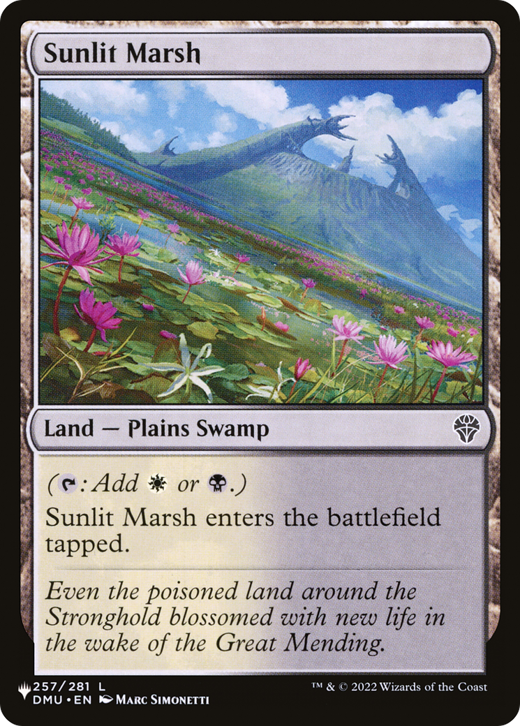 Sunlit Marsh Card Image