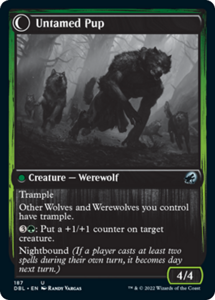 Hound Tamer // Untamed Pup Card Image