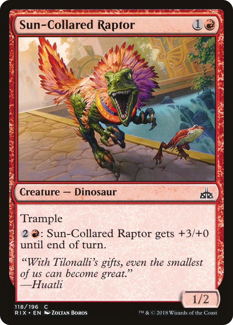 Sun-Collared Raptor Card Image