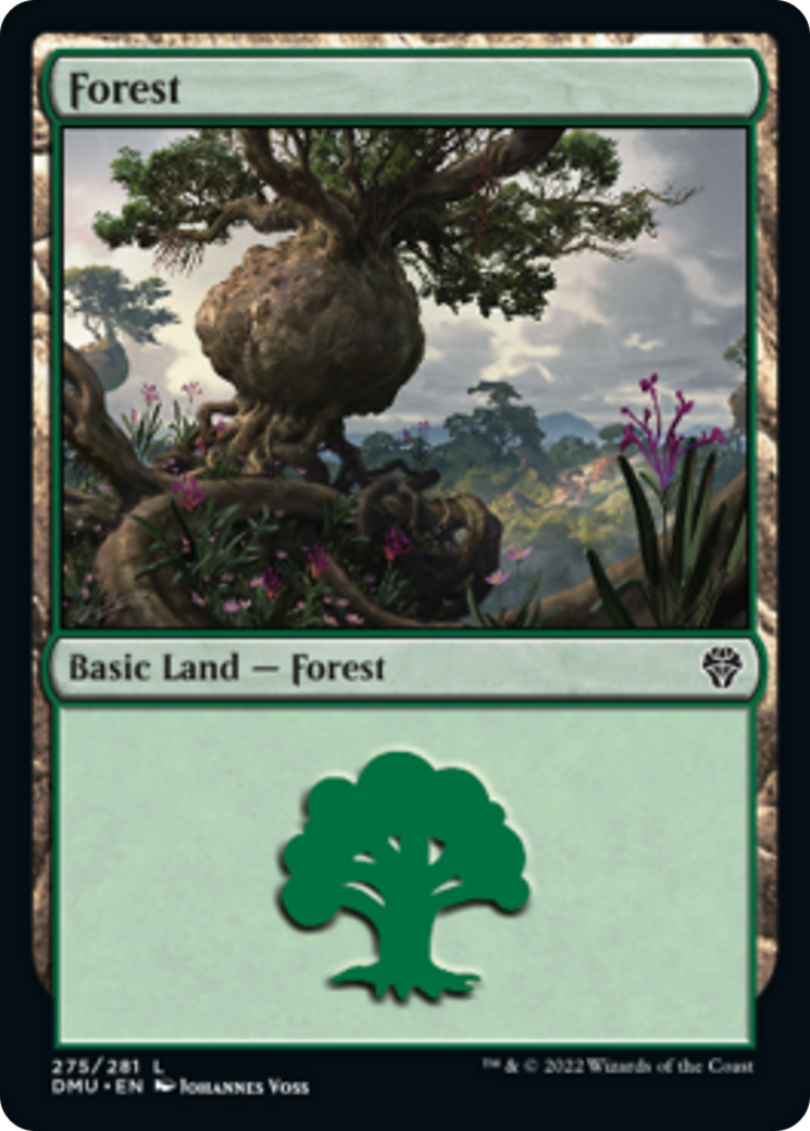 Forest Card Image