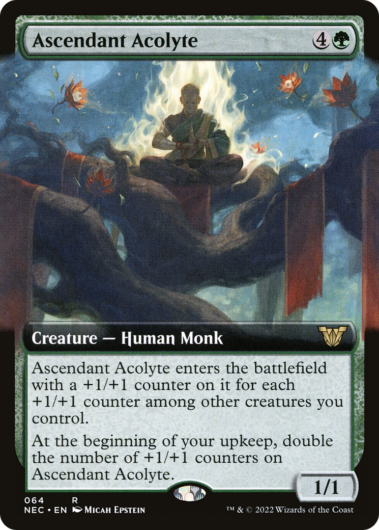 Ascendant Acolyte Card Image